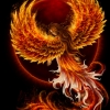 Birth of the Phoenix (back)